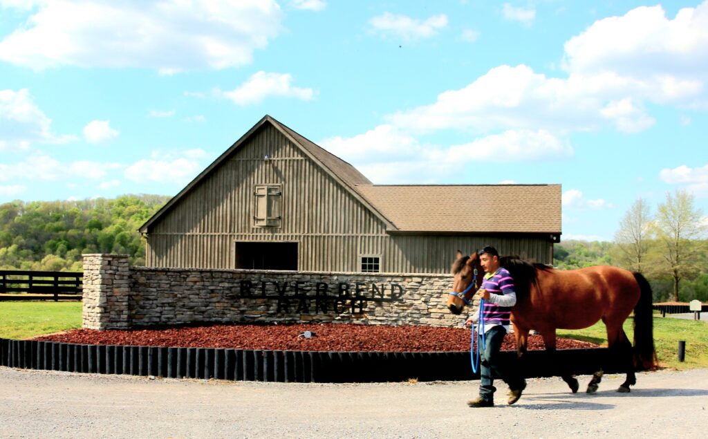 Transformative Leadership Through Horsemanship - Riverbend Ranch