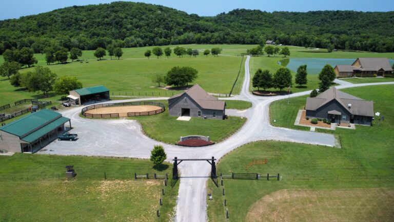 Horsemanship in Riverbend Ranch’s Leadership Program