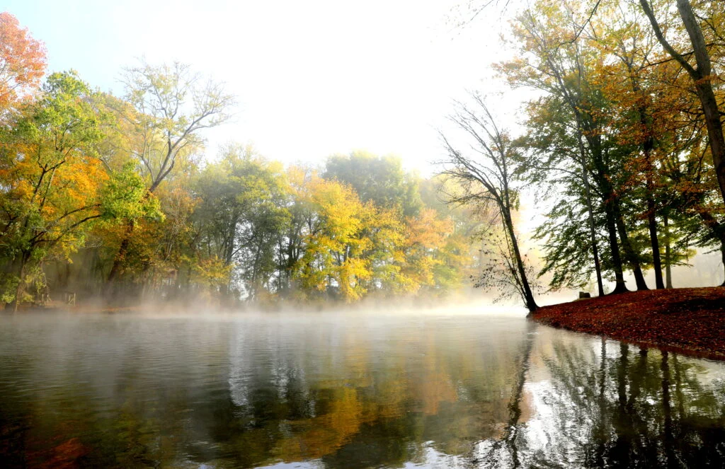Morning on the Duck River at Riverbend Ranch